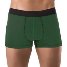 The Don Yeşil Renk Bambu Erkek Boxer