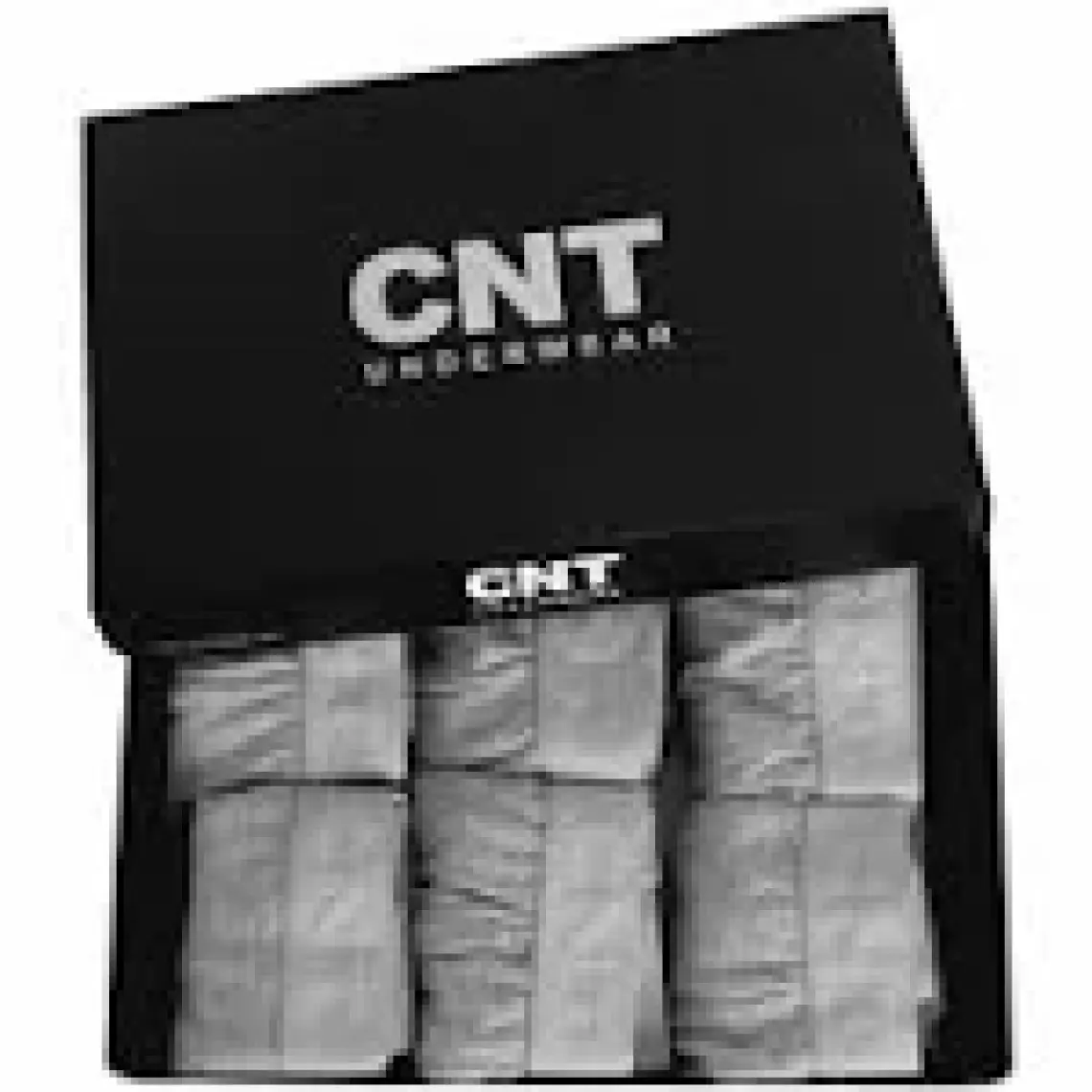 Cnt Erkek Slip Külot Likralı 6'lı Premium Paket