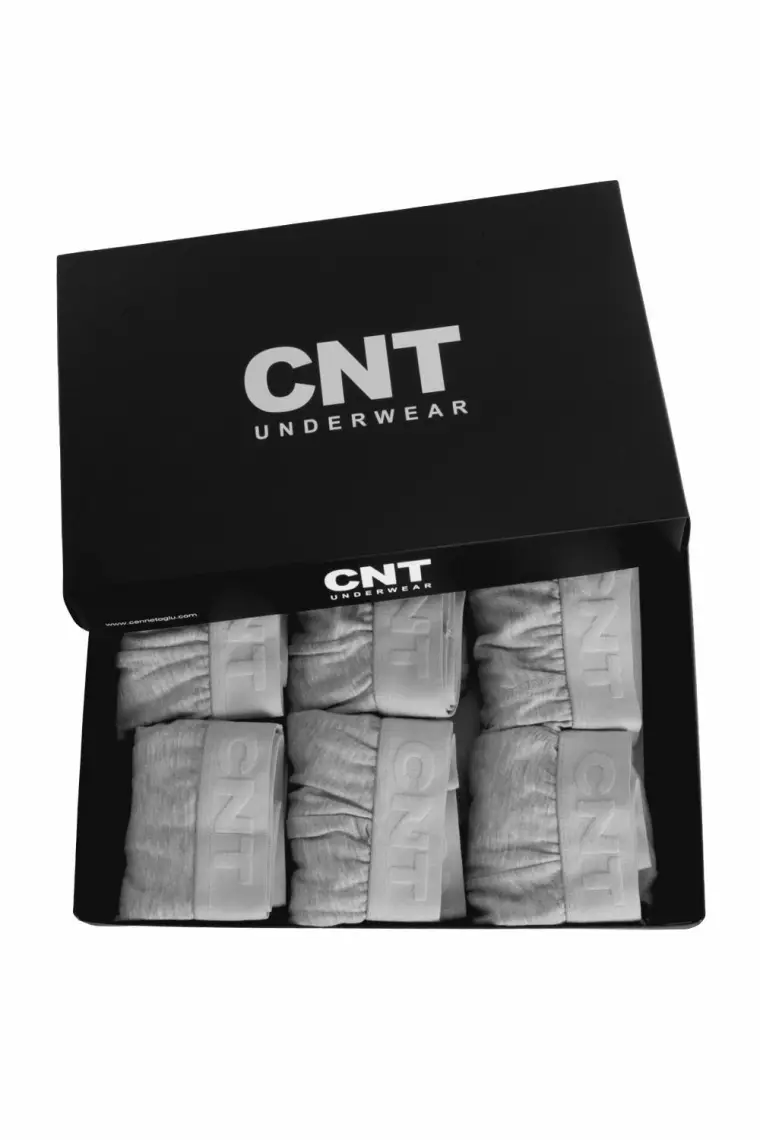 Cnt Erkek Slip Külot Likralı 6'lı Premium Paket