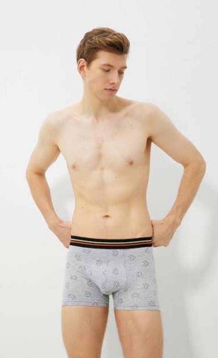 Koton 3'lü Boxer Seti Ördek Baskılı
