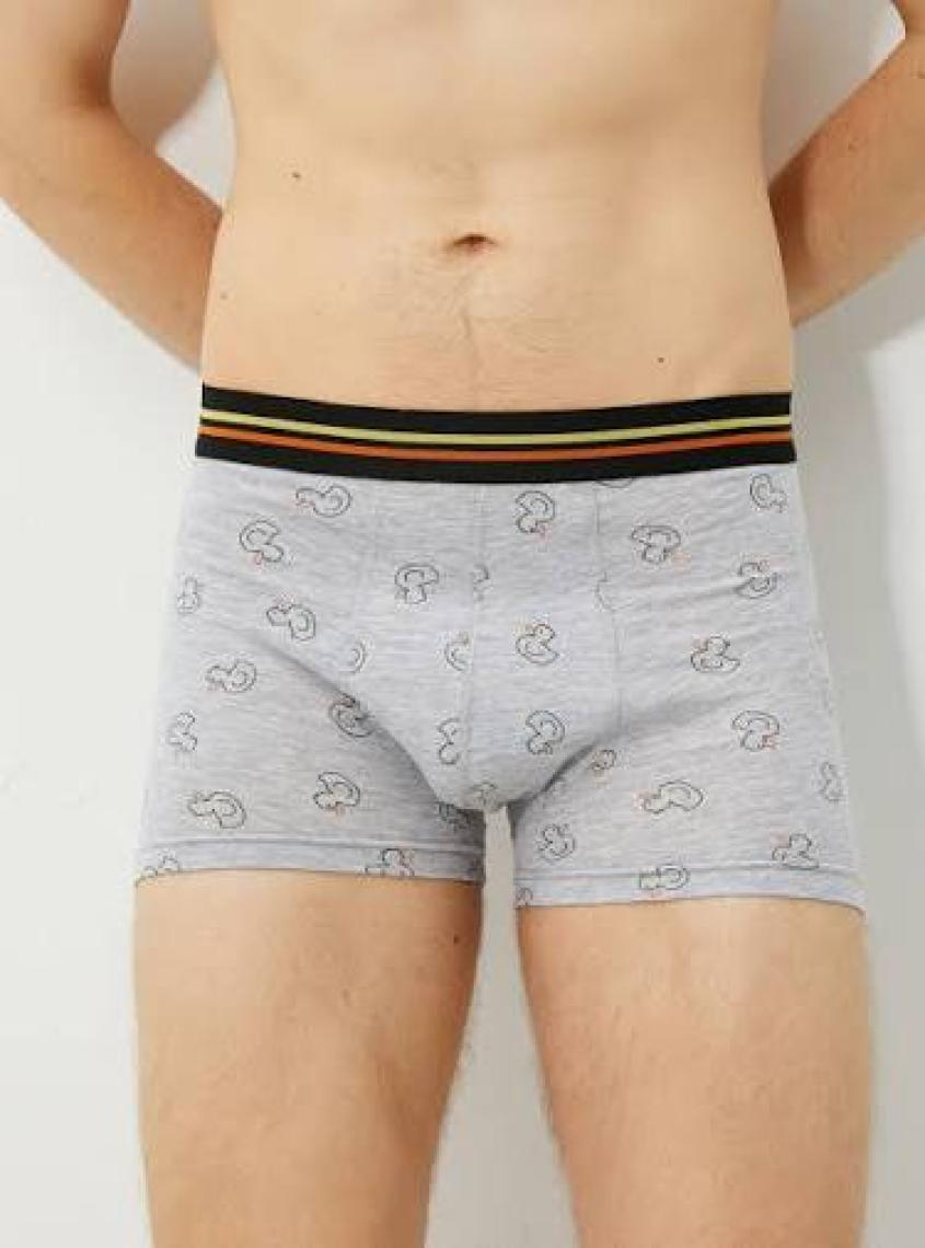 Koton 3'lü Boxer Seti Ördek Baskılı