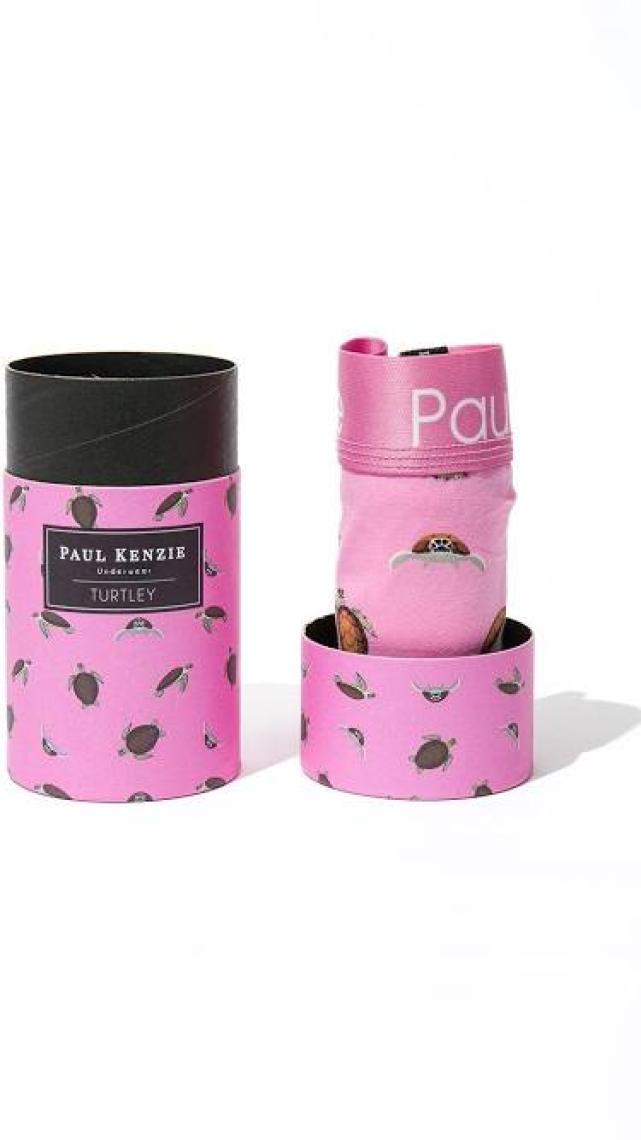 Paul Kenzie Desenli Erkek Boxer – Eco Characters – Turtley