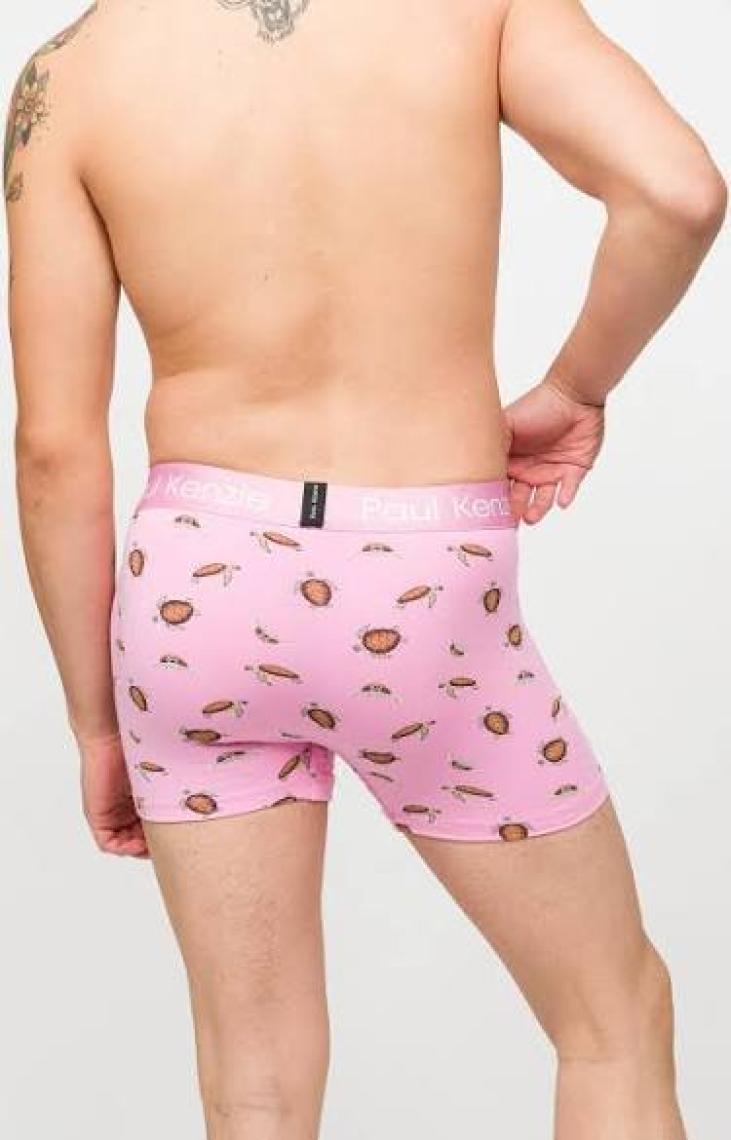 Paul Kenzie Desenli Erkek Boxer – Eco Characters – Turtley