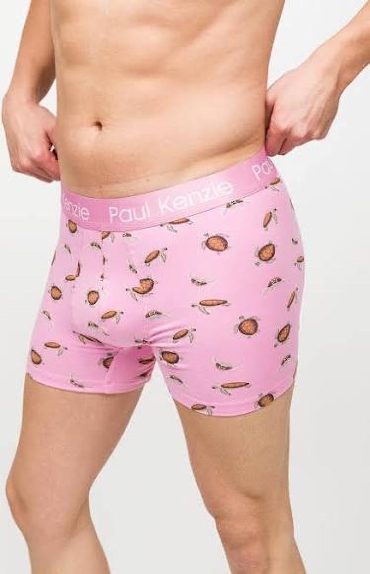 Paul Kenzie Desenli Erkek Boxer – Eco Characters – Turtley