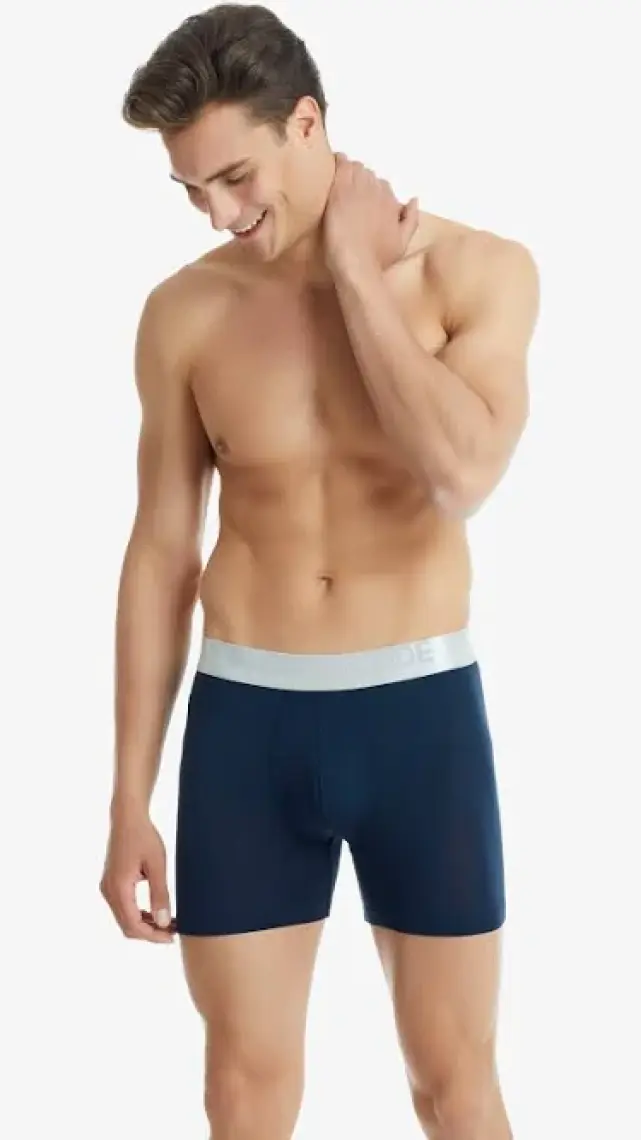 BLACKSPADE 9303 ERKEK SİLVER LACİVERT BOXER