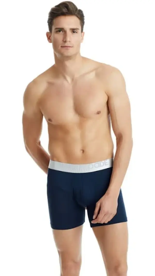 BLACKSPADE 9303 ERKEK SİLVER LACİVERT BOXER