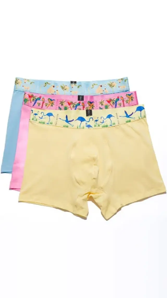 Paul Kenzie 3'lü Erkek Boxer Comfort Flex - Exotic