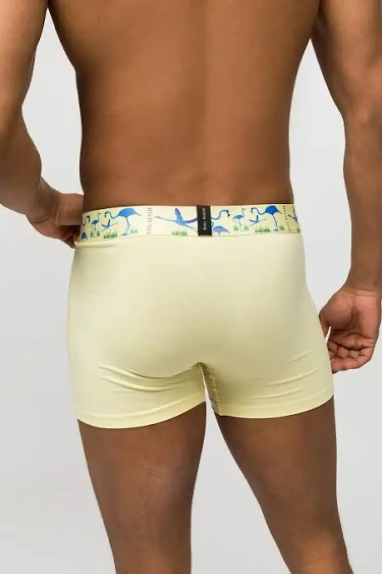 Paul Kenzie 3'lü Erkek Boxer Comfort Flex - Exotic