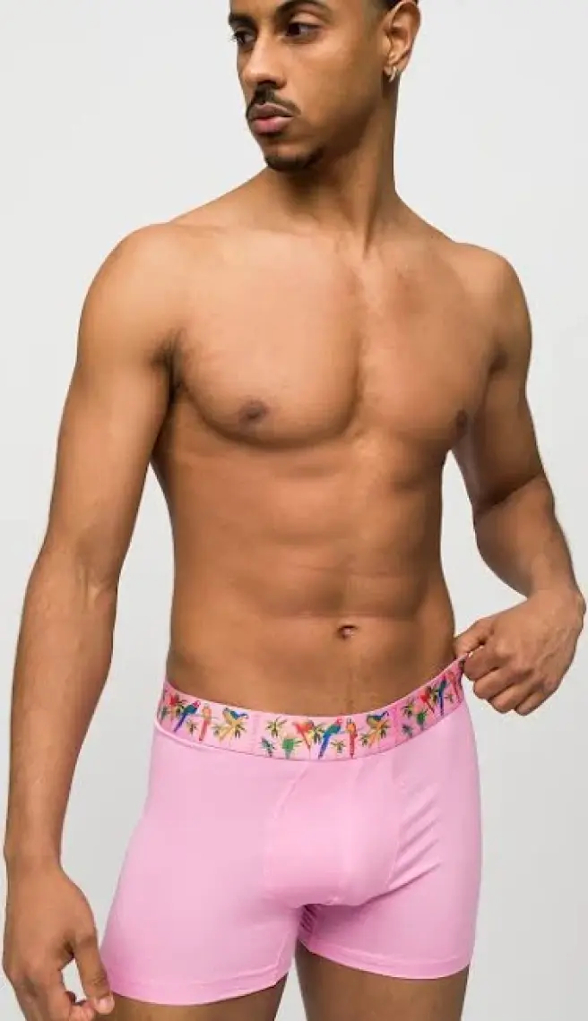 Paul Kenzie 3'lü Erkek Boxer Comfort Flex - Exotic