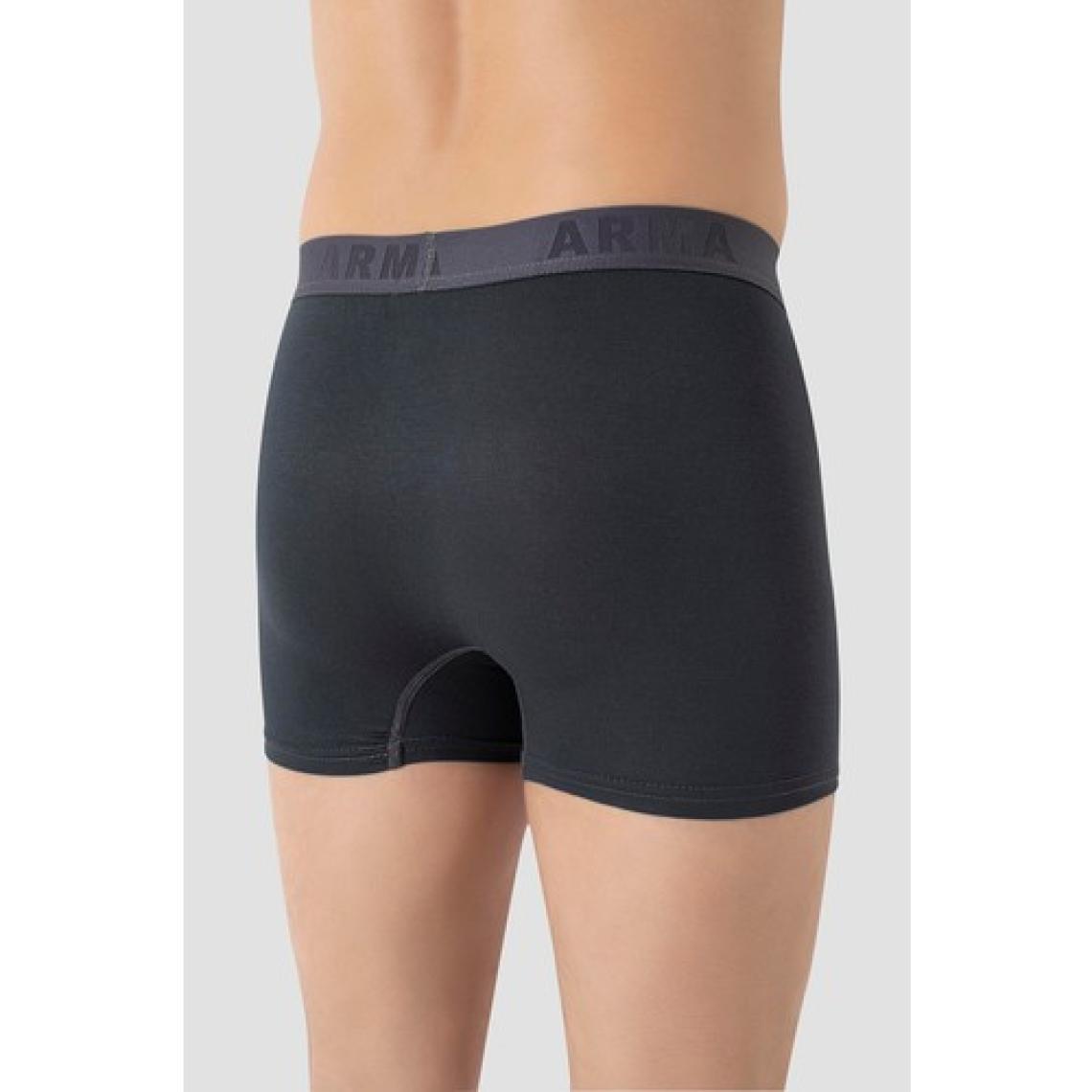 Arma Yıldız Erkek Füme Likralı 3'lü Boxer