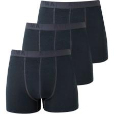 Arma Yıldız Erkek Füme Likralı 3'lü Boxer