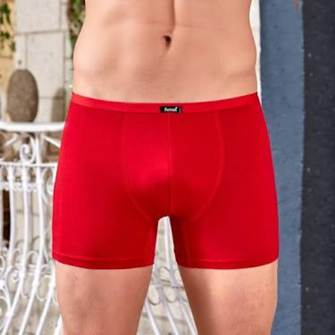 Berrak 4488 Modal Erkek Boxer