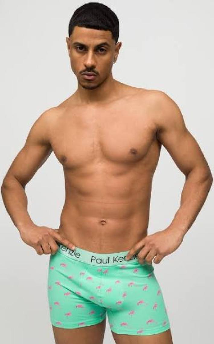 Paul Kenzie Unique Effect Desenli Erkek Boxer - Pink Birdy