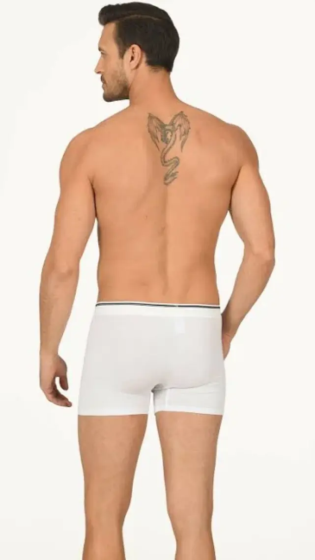 Gri Hendrix Modal Boxer