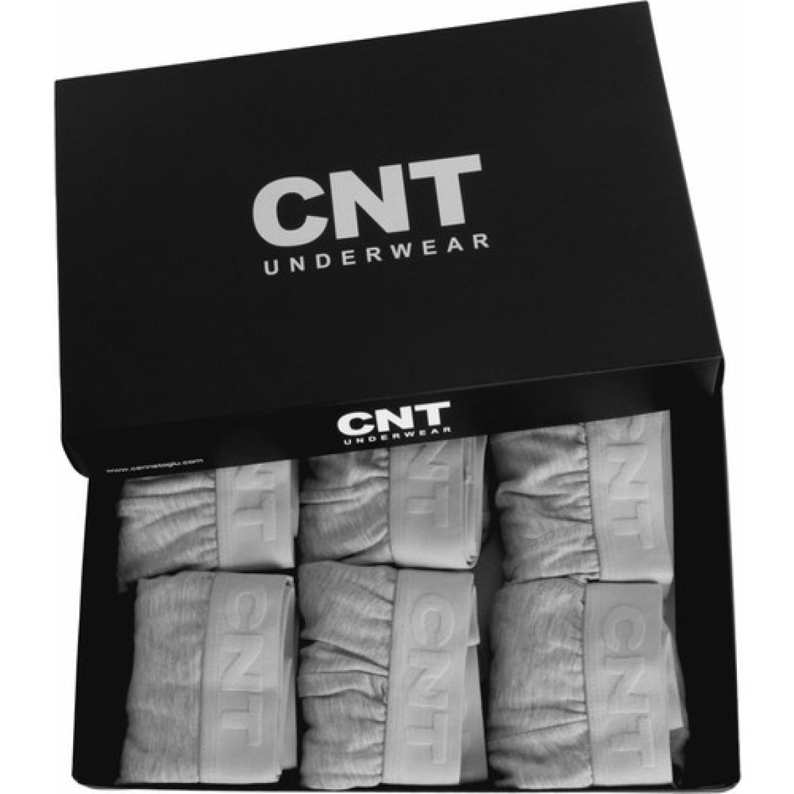 Cnt Erkek Slip Külot Likralı 6'lı Premium Paket