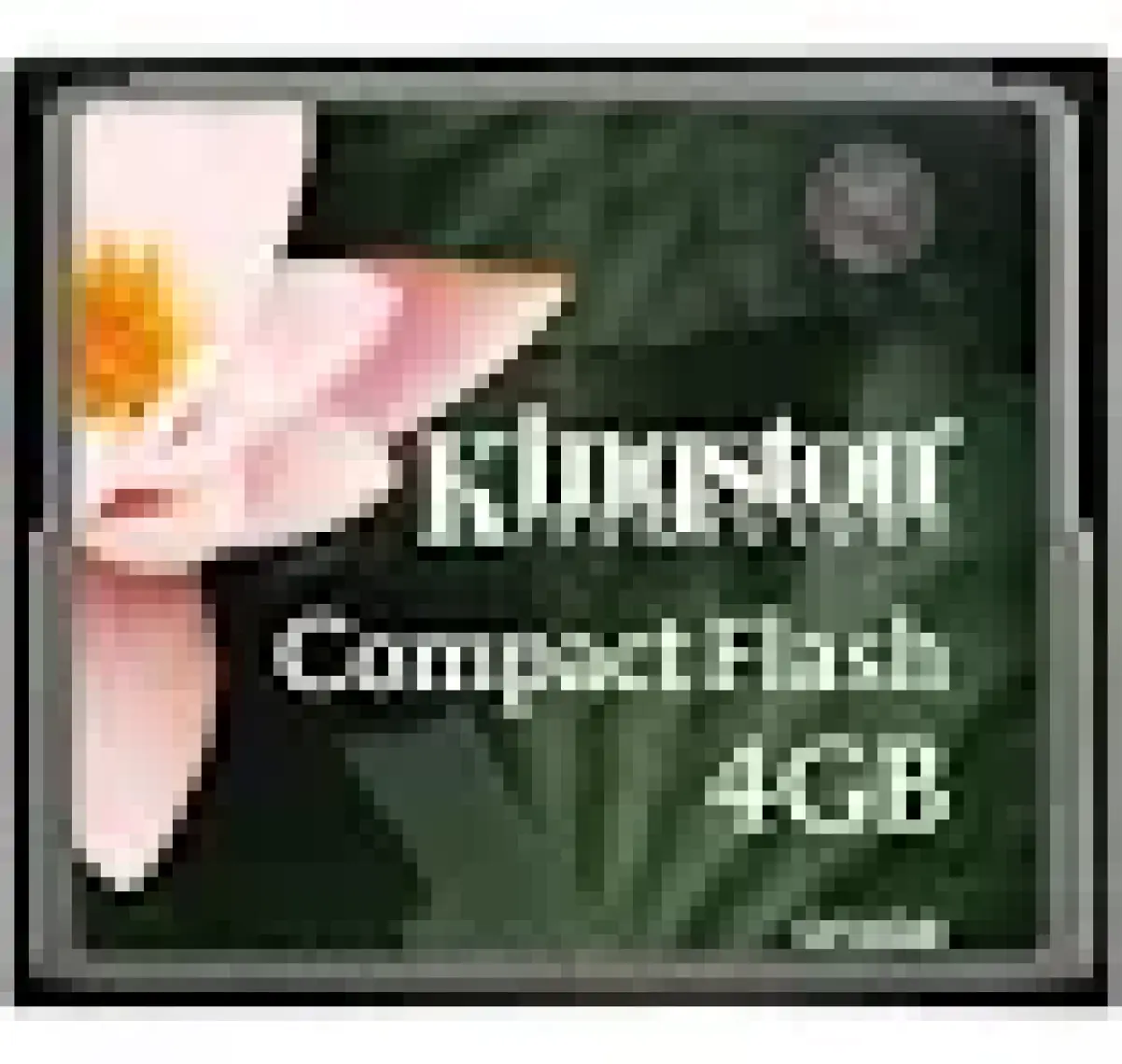 Kingston 4 GB Compact Flash Hafıza Kartı CF/4GB