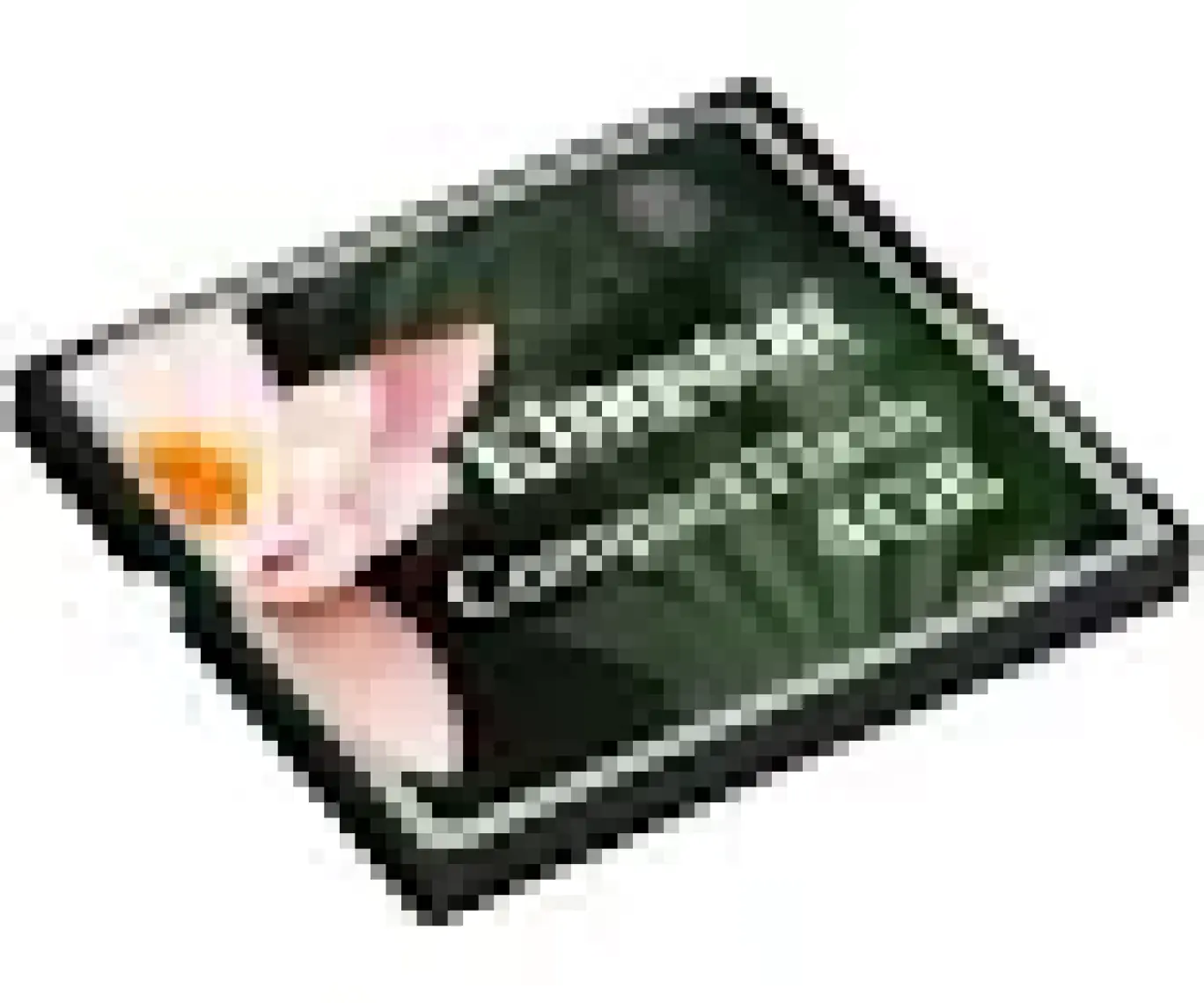 Kingston 4 GB Compact Flash Hafıza Kartı CF/4GB