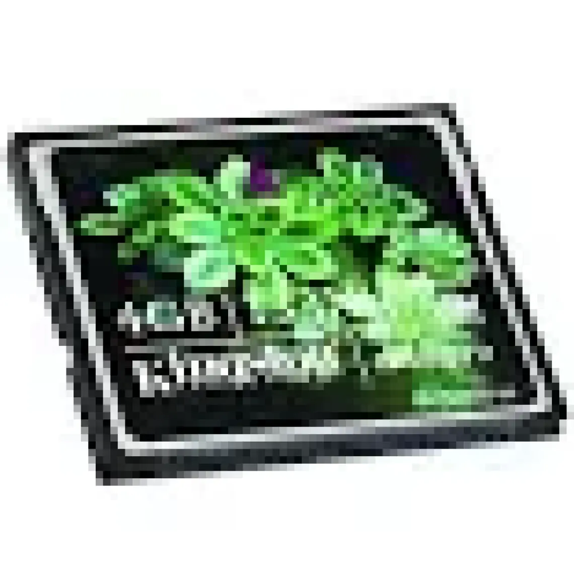 Kingston 4 GB Compact Flash Hafıza Kartı CF/4GB