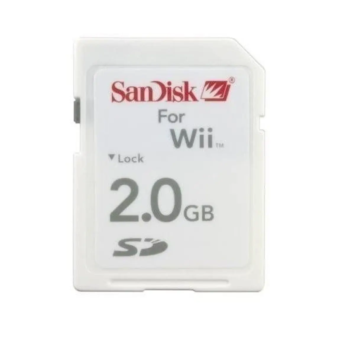 Kingston 2 GB Secure Digital Hafıza Kartı SD/2GB