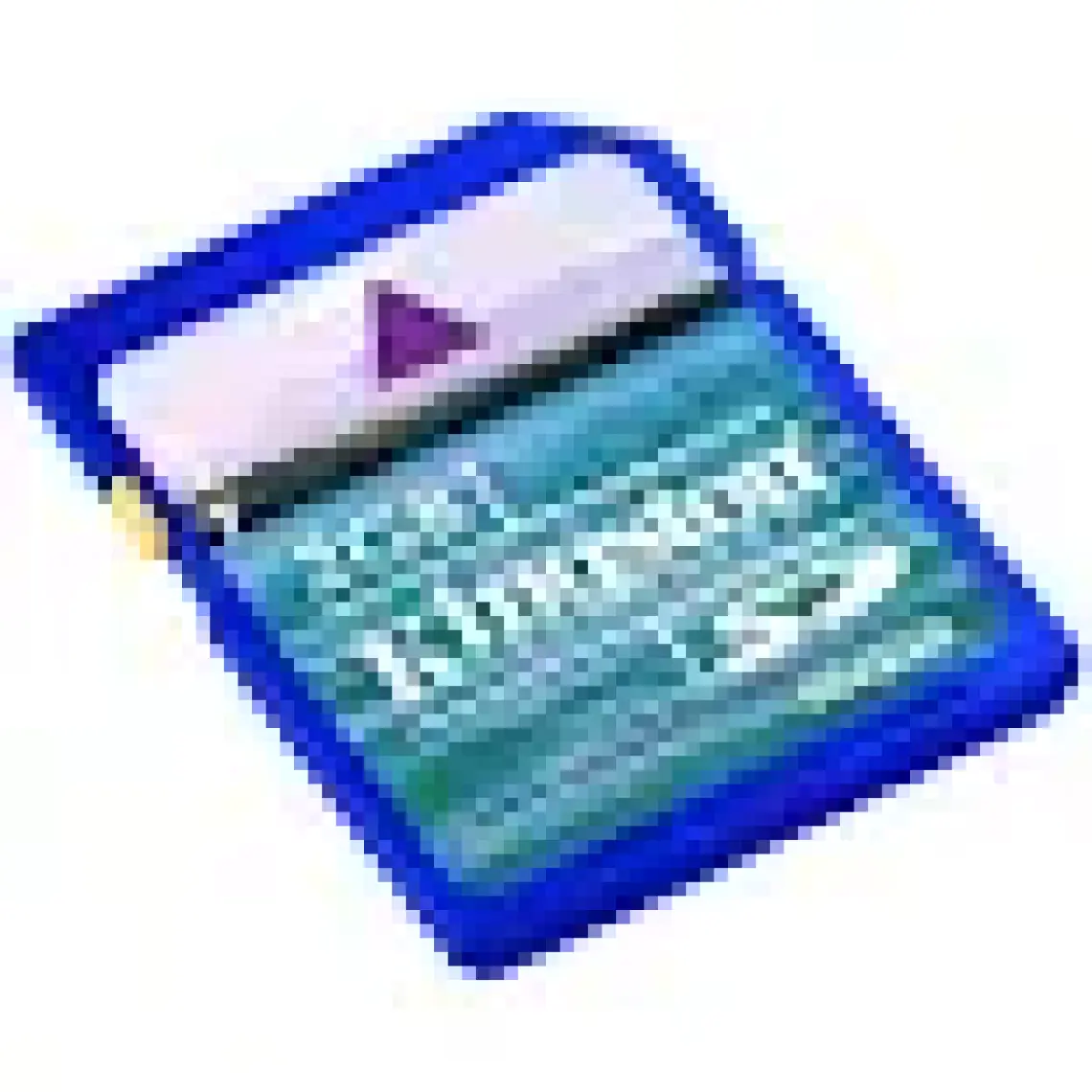 Kingston 2 GB Secure Digital Hafıza Kartı SD/2GB