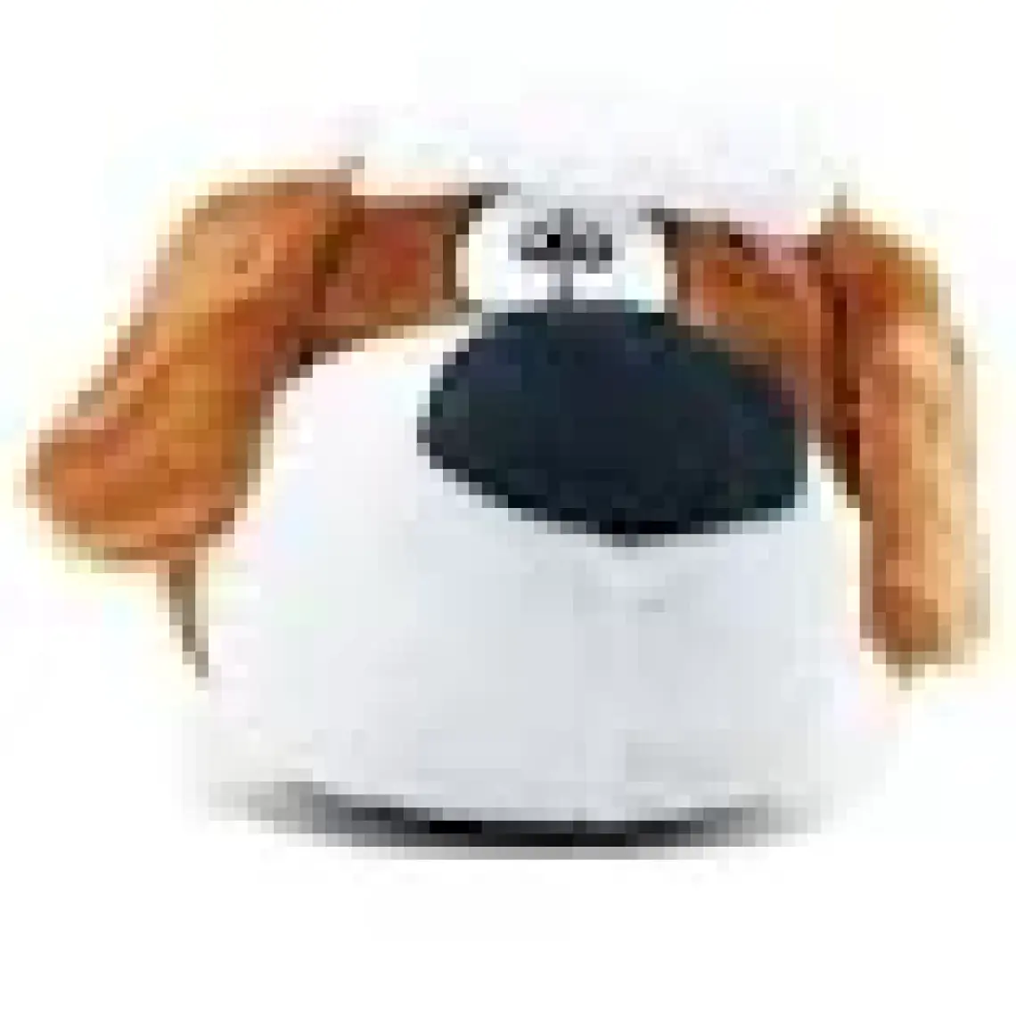 Twigy Bobo Erkek Hayvanlı Panduf Kahverengi 41/46 YY0273