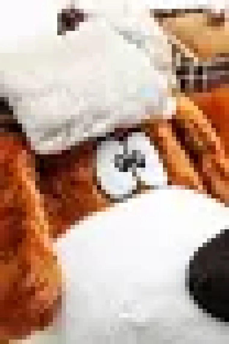 Twigy Bobo Erkek Hayvanlı Panduf Kahverengi 41/46 YY0273