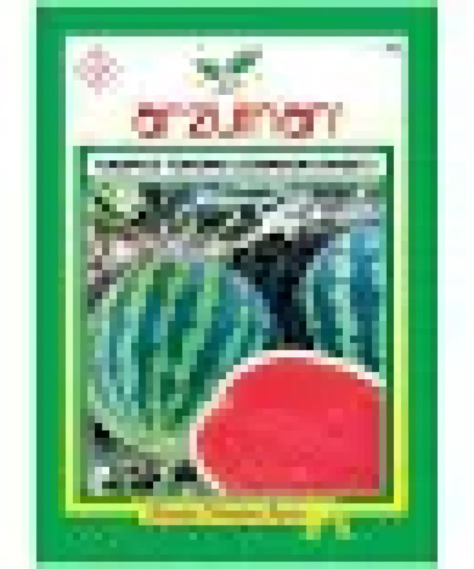 Arzuman Meyve Karpuz Tohum Crimson Sweet 10 gr