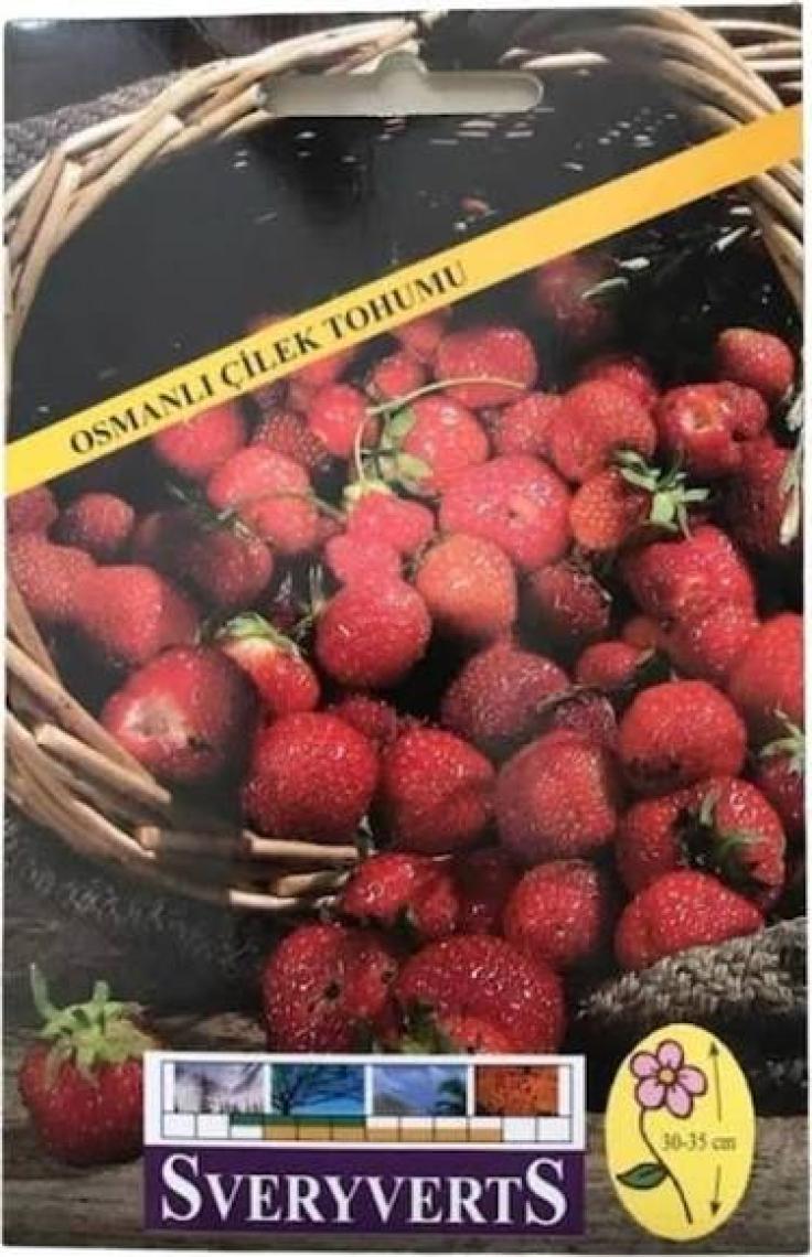 Çilek Tohumu