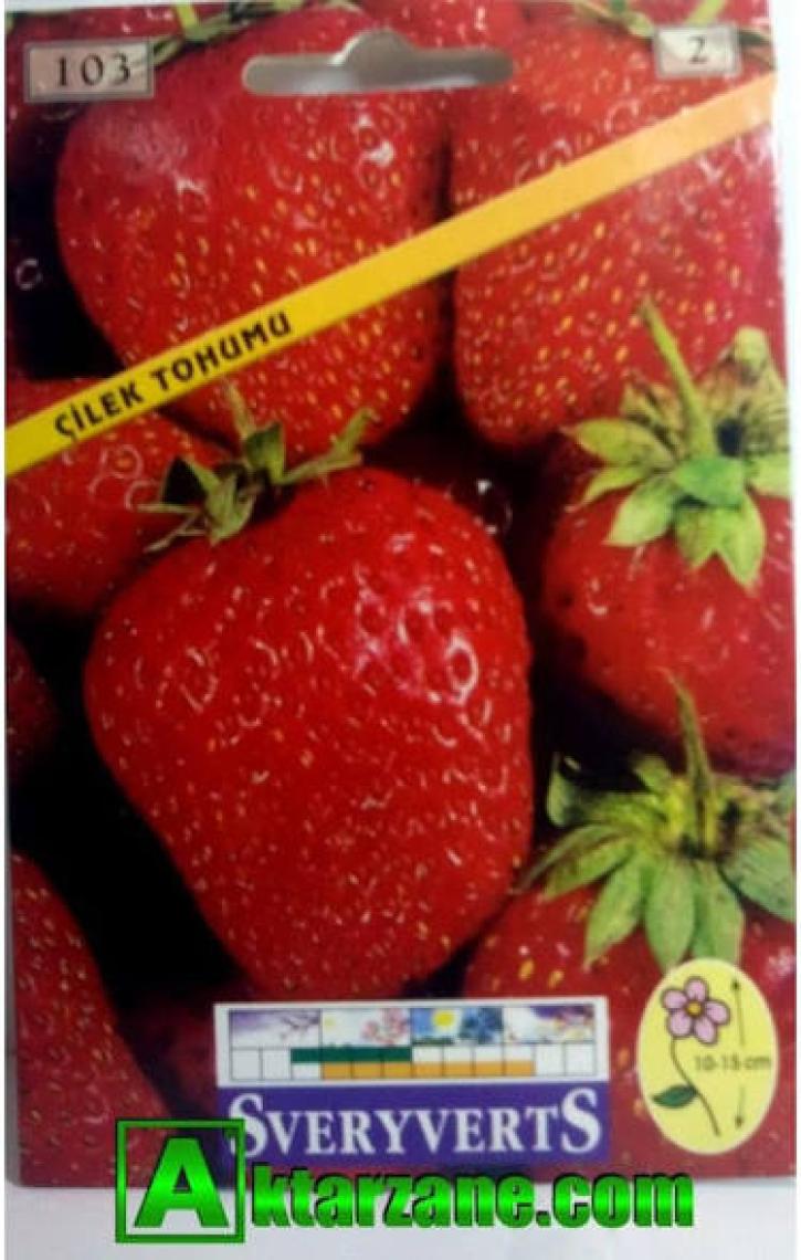 Çilek Tohumu