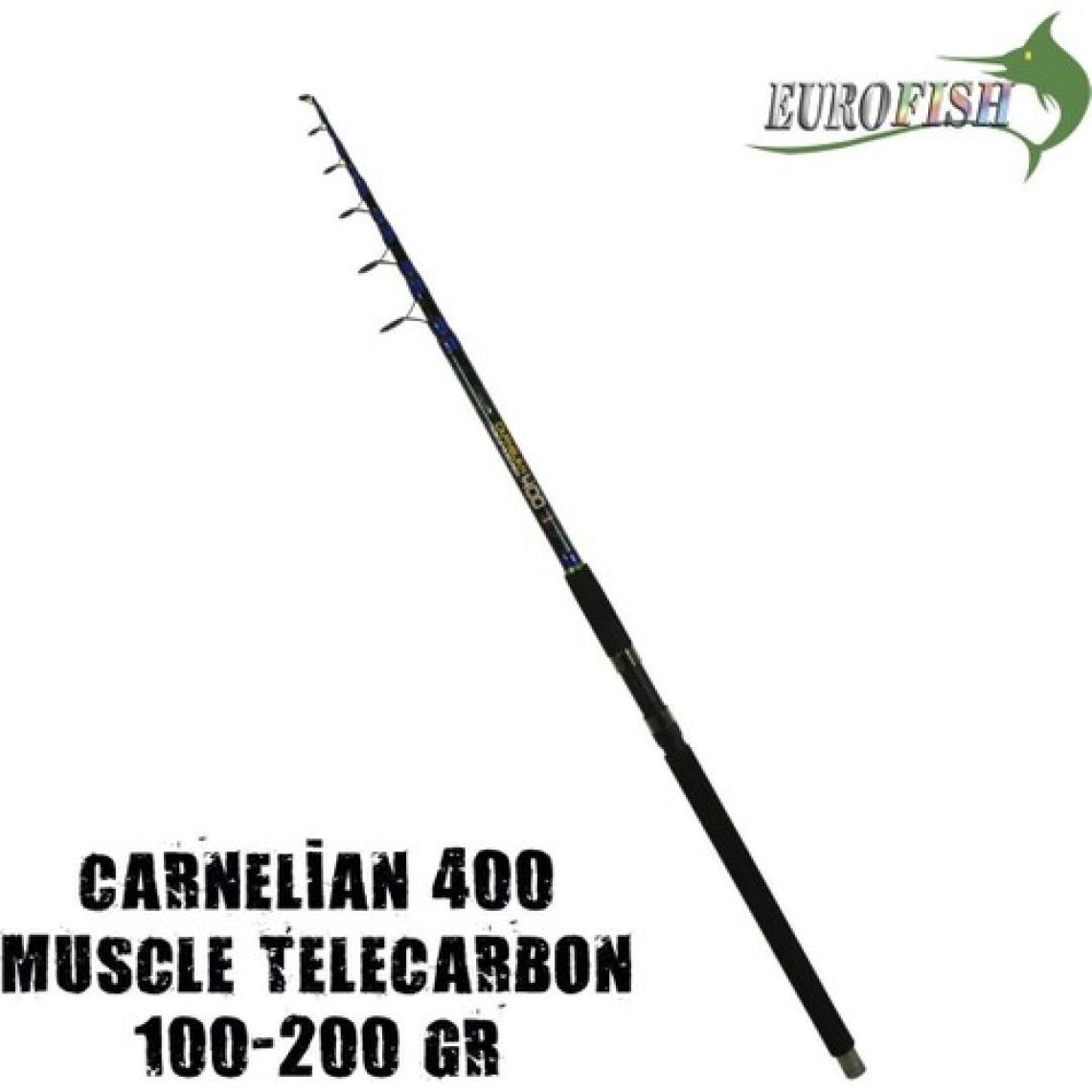 SHIMANO EuroFish Carnellian Muscle 400 cm 100-200 gr TeleCarbon Surf Olta Kamışı
