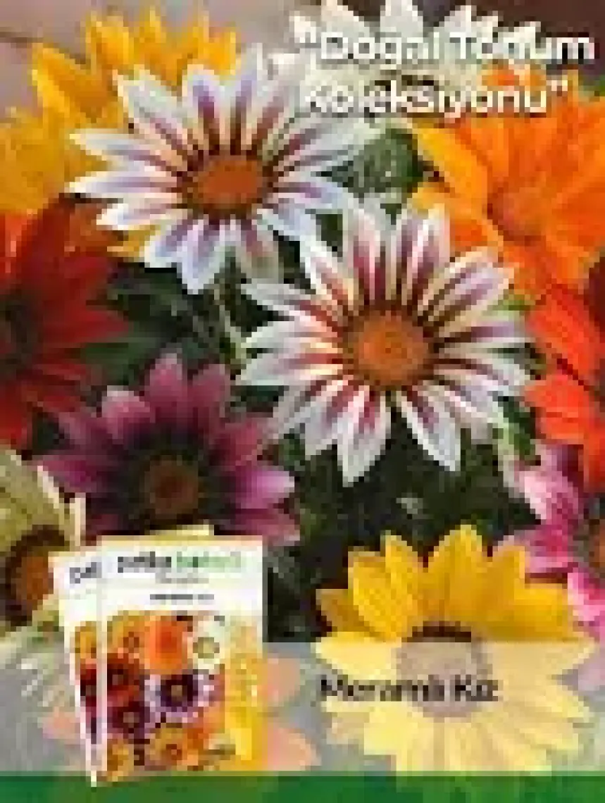 Patika Botanik 20 Adet Meramlı Kız (Gazania Splendens) Çiçek Tohumu