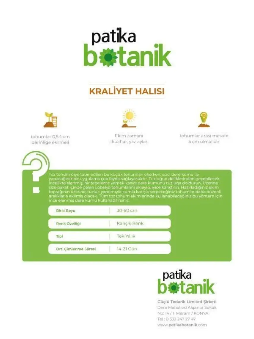 Patika Botanik 100 Adet Kraliyet Halısı Çiçek Tohumu