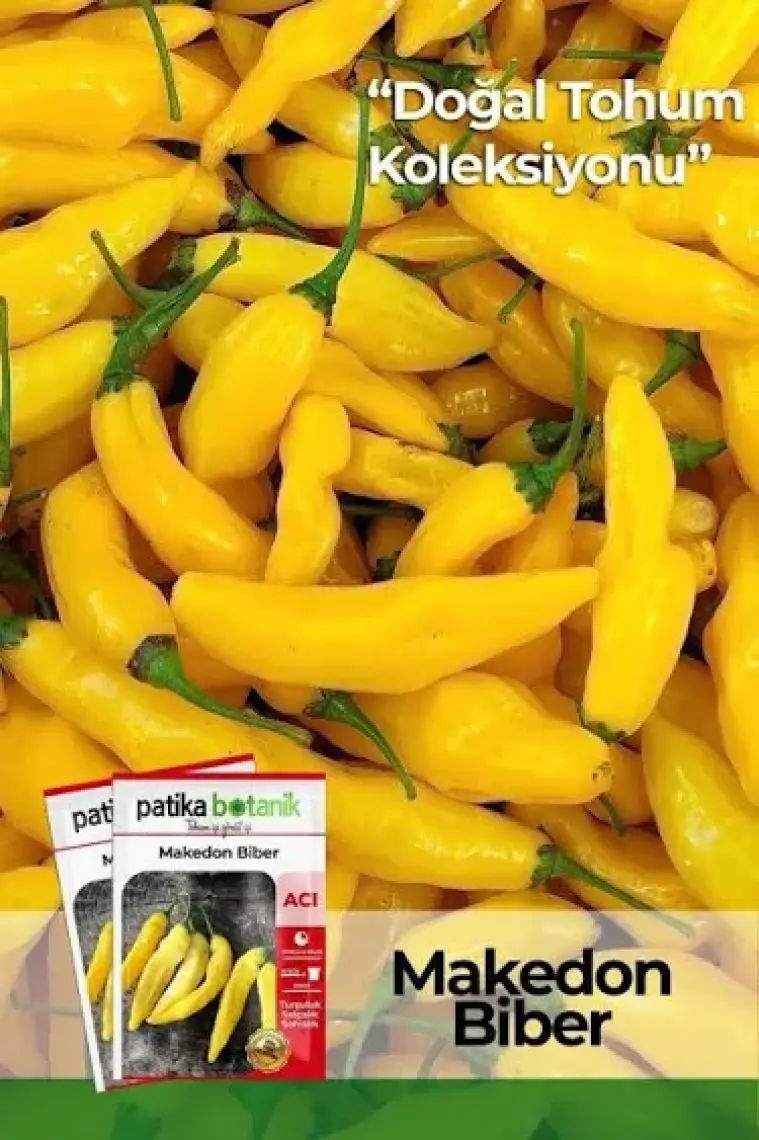 Patika Botanik 200 Adet Makedon Biber Tohumu (Sarı, Turşuluk)