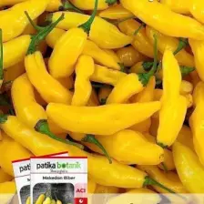 Patika Botanik 200 Adet Makedon Biber Tohumu (Sarı, Turşuluk)