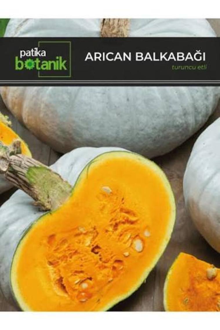 Patika Botanik 15 Adet Balkabağı Tohumu (Turuncu Etli)