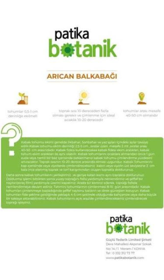 Patika Botanik 15 Adet Balkabağı Tohumu (Turuncu Etli)