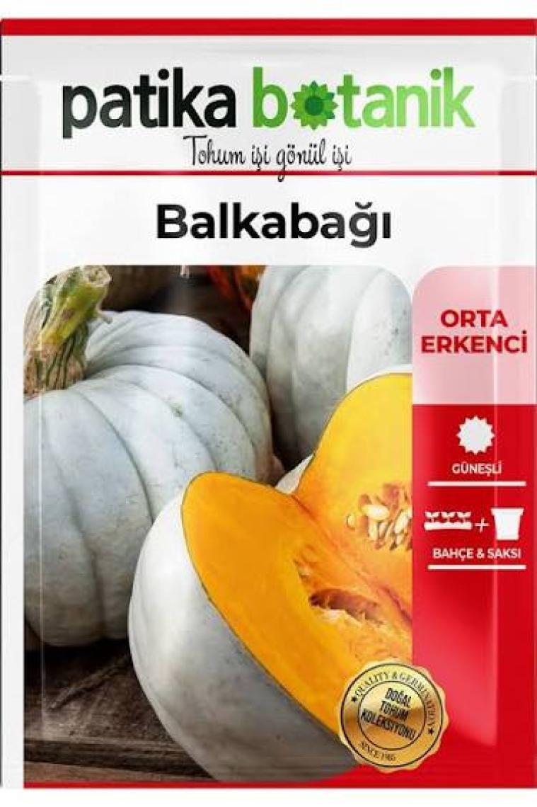 Patika Botanik 15 Adet Balkabağı Tohumu (Turuncu Etli)