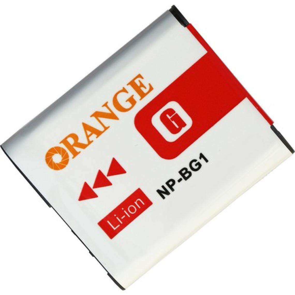 Raypro Sony Için Np-Bg1 Batarya Pil
