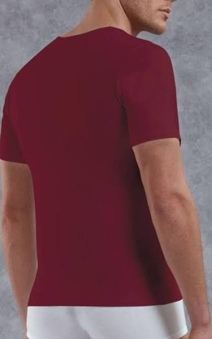 Doreanse Bordo Erkek T-Shirt 2820