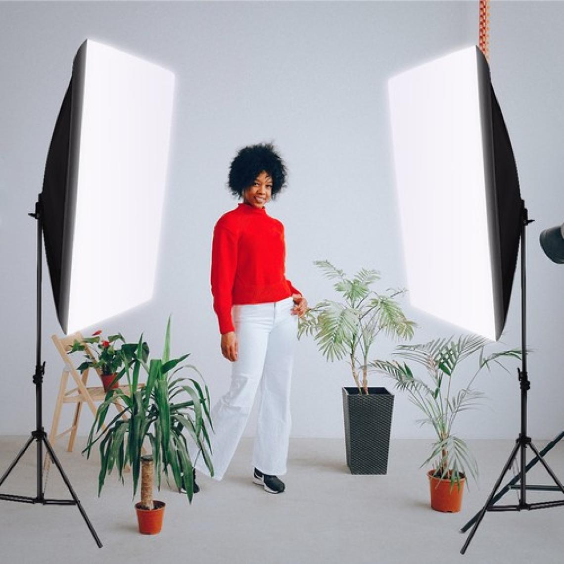 Fototek 50 x 70 cm Softbox 2'li Sürekli Işık Seti Strobist Set Taşıma Çantalı