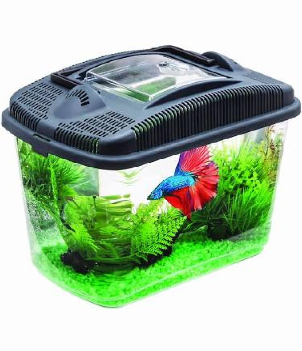 Aquael Betta Kit Beta Akvaryumu 3 Lt