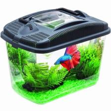 Aquael Betta Kit Beta Akvaryumu 3 Lt