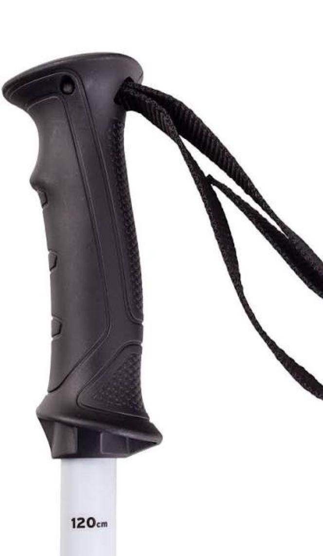 Salomon X North Erkek Kayak Batonu L40559300