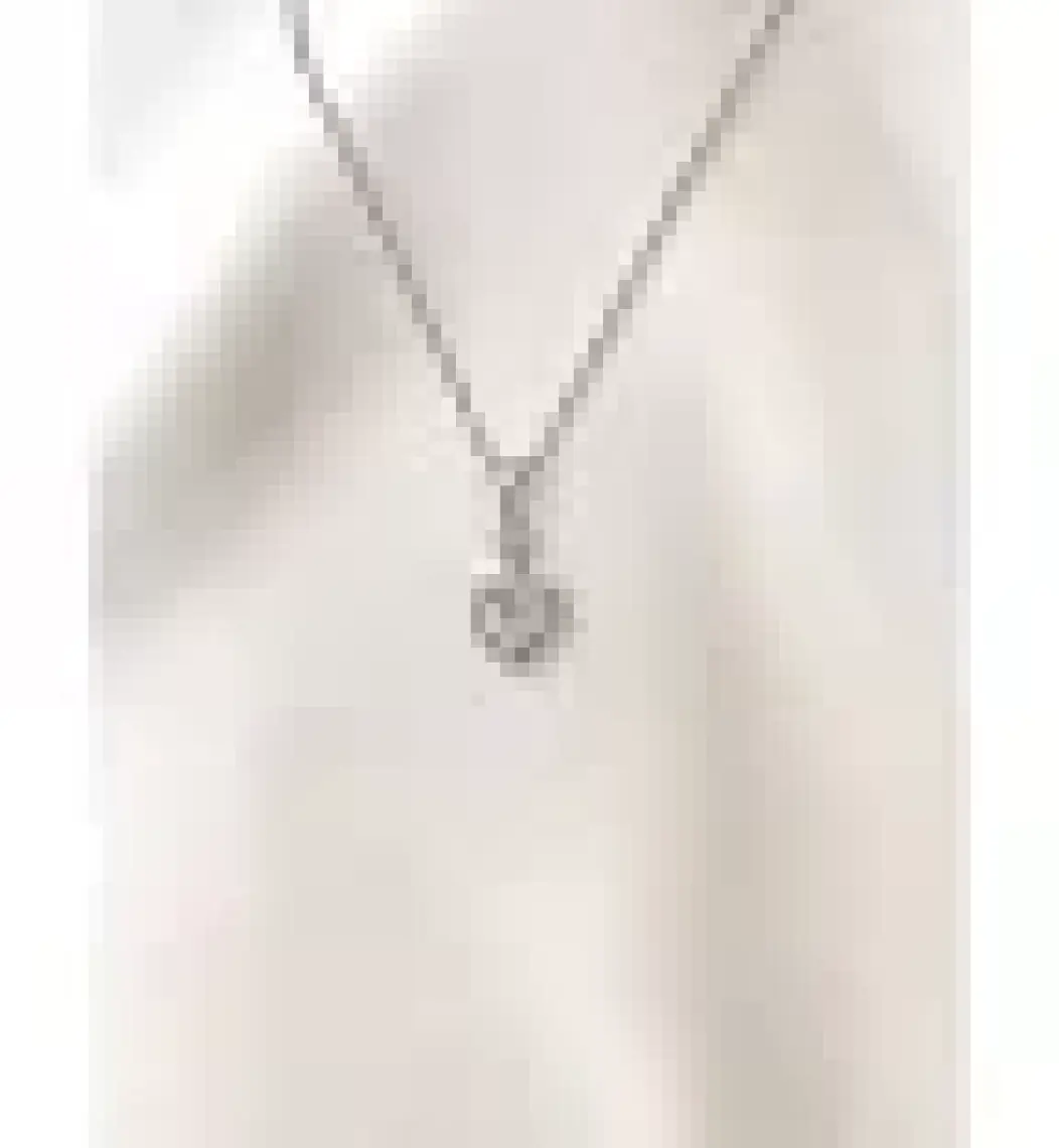 Evorya Kadın 316L Paslanmaz Çelik Gümüş Swarovski Taşlı Kalp Kolye