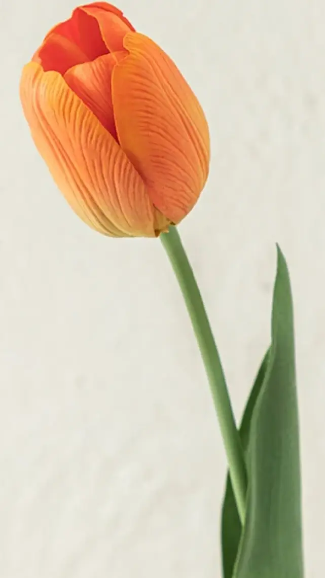 Tulip Garden Tek Dal Yapay Çiçek 45 cm T  (4.08.2025)
