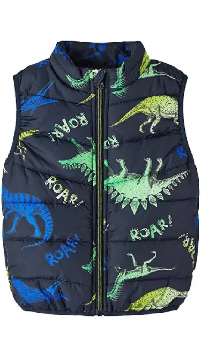 Name İt Nmmmylane Dino Roar Erkek Çocuk Yelek