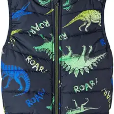 Name İt Nmmmylane Dino Roar Erkek Çocuk Yelek