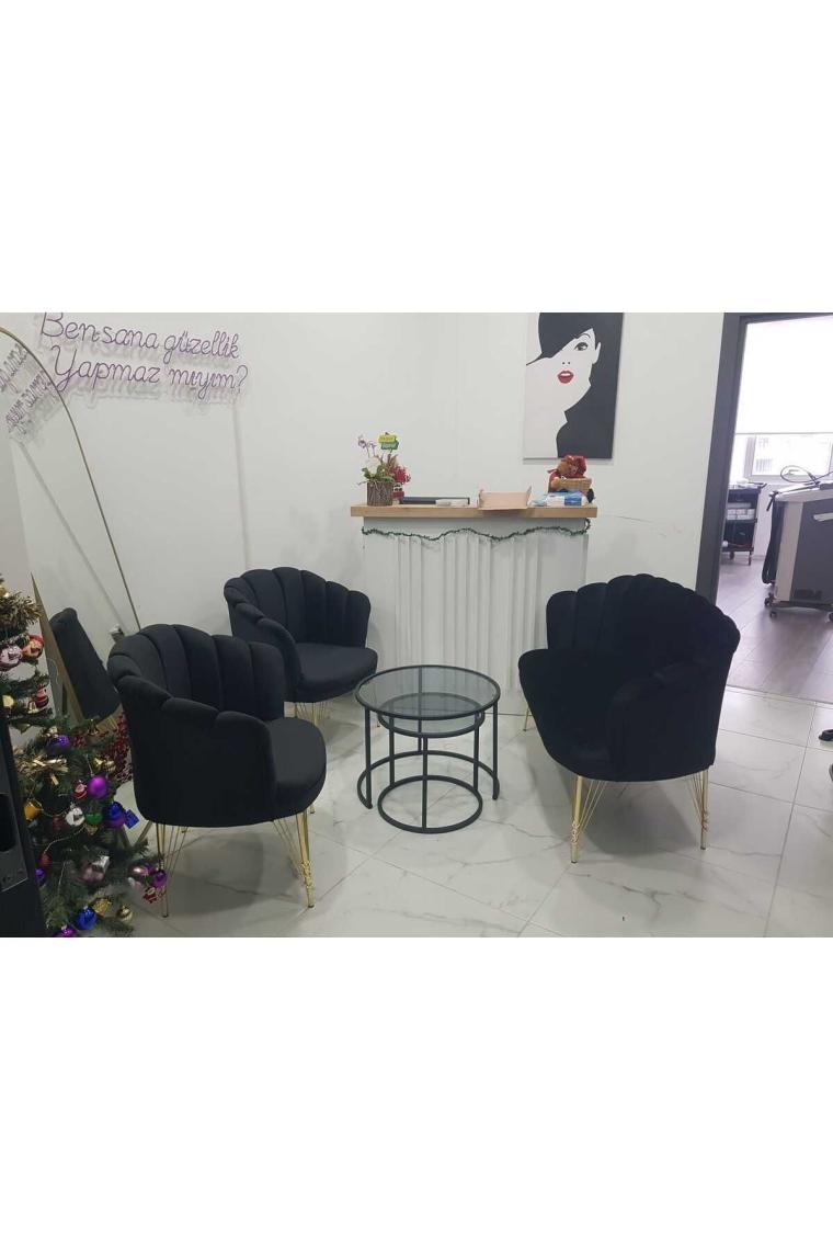 Garden House Siyah Kumaş Metal Gold Ayaklı Papatya Çay Seti Koltuk Takımı Bekleme Koltuğu Ofis Koltuğu