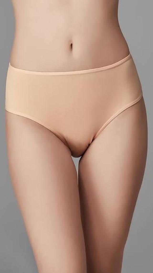 Dagi Kadın 5'Li Yüksek Bel Slip Karışık