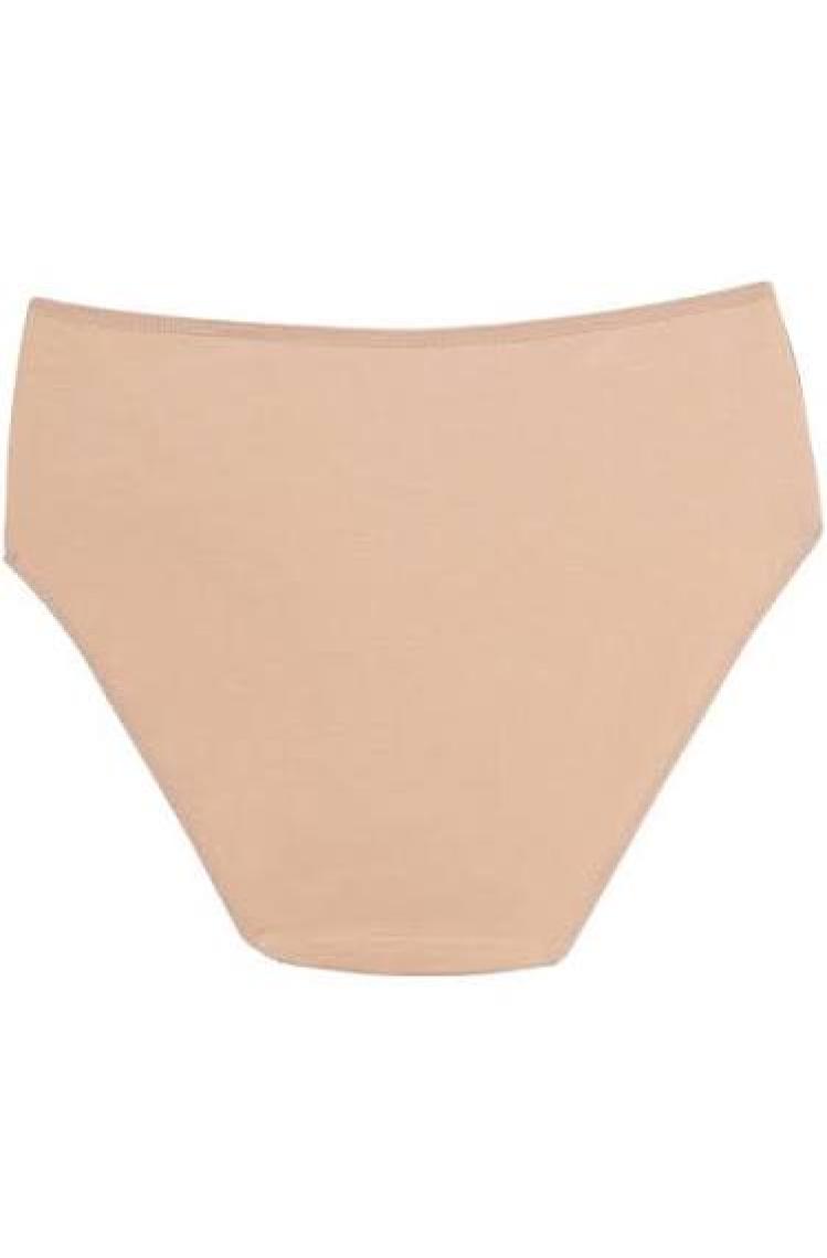 Dagi Kadın 5'Li Yüksek Bel Slip Karışık